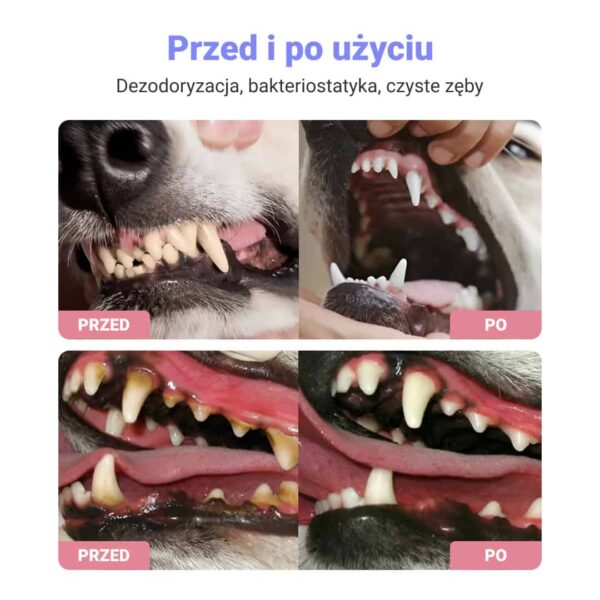 Alternative view of AEROZOL DLA ZWIERZĄT DOMOWYCH 1+1 GRATIS