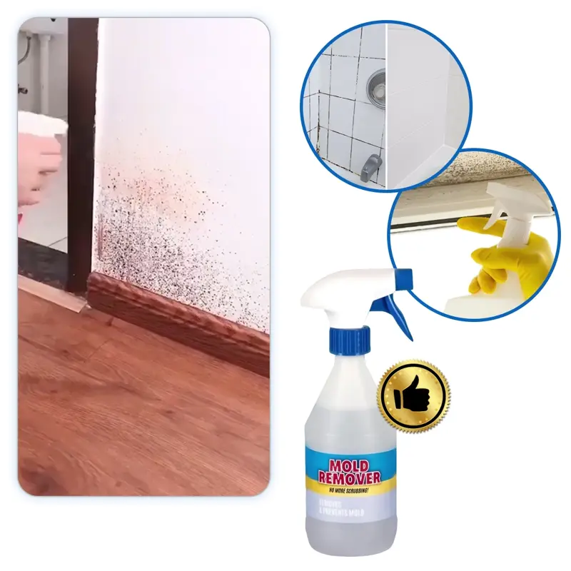 Moldguard – Spray do usuwania pleśni i trwałego eliminowania pleśni w domu