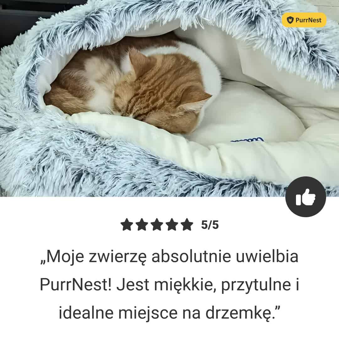 PurrNest – Łóżko Antystresowe dla Zwierząt - obrazek 7