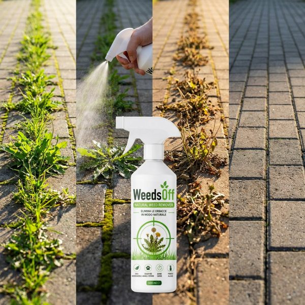 Alternative view of WeedsOff – Spray Naturalny Środek Chwastobójczy